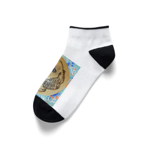 American Cocker Spaniel,わるそう坊主のコッカースパニエル Ankle Socks