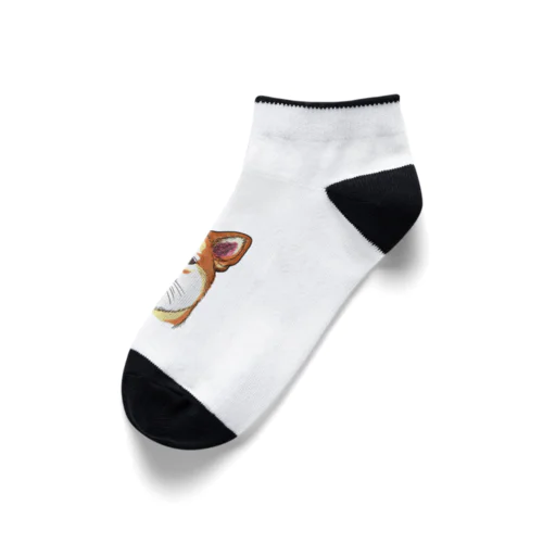 SHIBA Ankle Socks