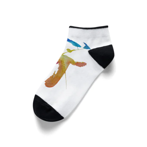 spark Ankle Socks