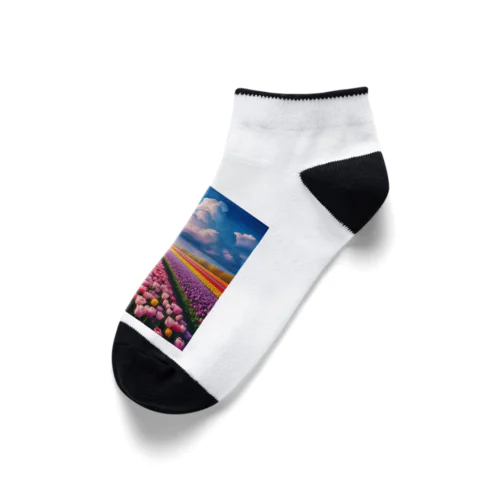 壮大な風景✨チューリップ🌷バージョン🌈 Ankle Socks