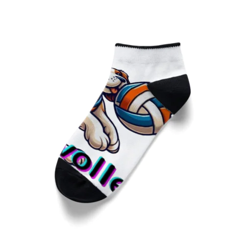 cava-volley Ankle Socks