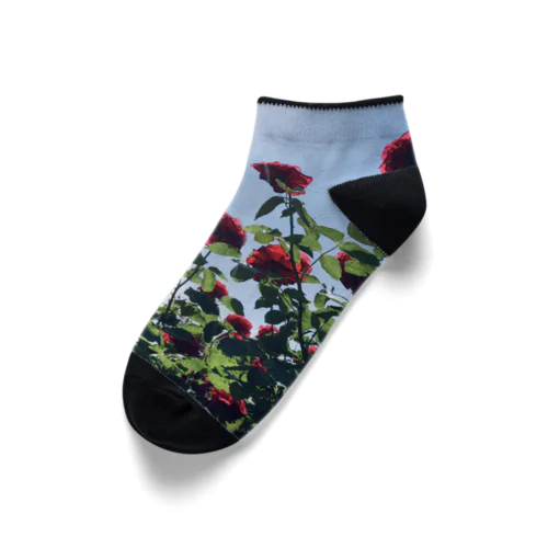 赤い薔薇と青い空 Ankle Socks