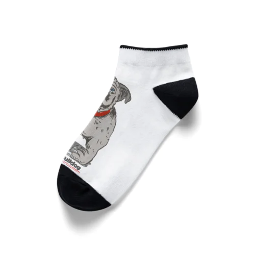 Gice Smiling Bulldog Ankle Socks