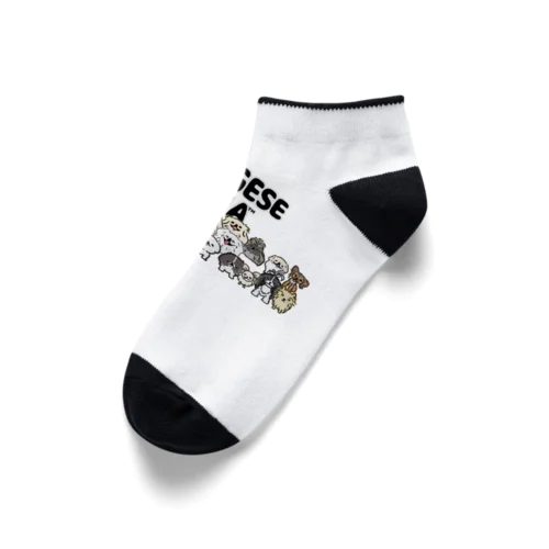 PEKINGESE MANIA Ankle Socks