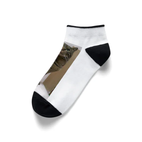 トイレの上のポチオ Ankle Socks