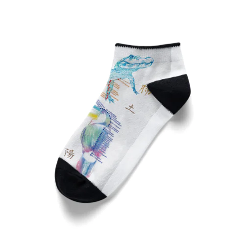 経絡経穴アニマル Ankle Socks