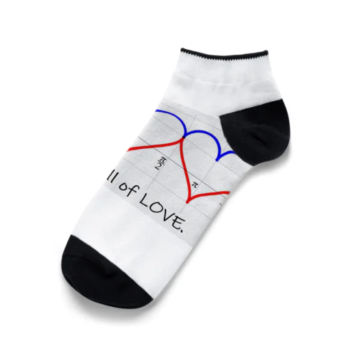 Math is full of LOVE. Ankle Socks