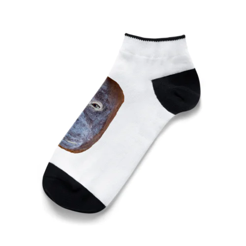 オランウータン Ankle Socks