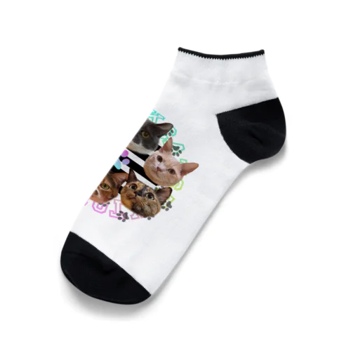 TikTok猫部６にゃんくるぶしソックス Ankle Socks