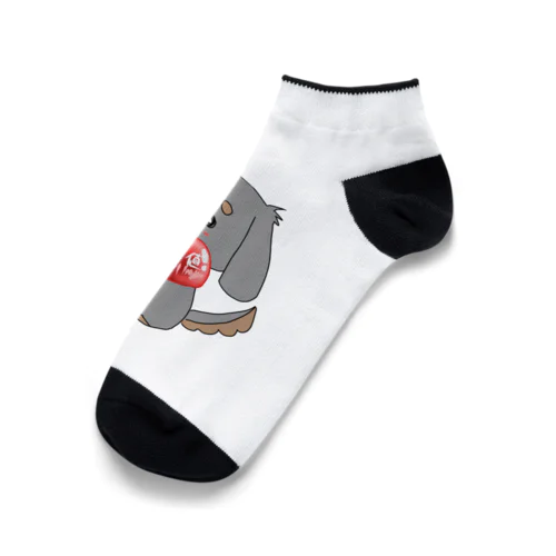 SAN値回復靴下 Ankle Socks