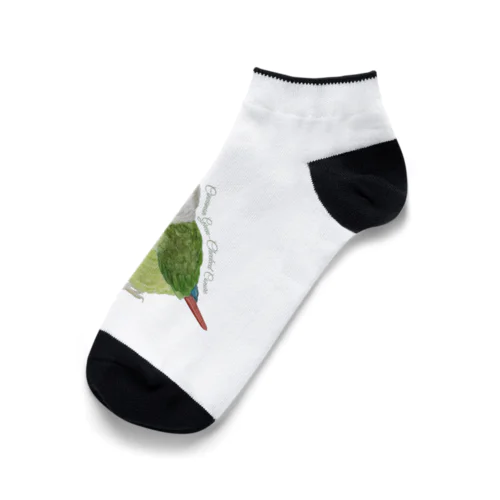 107 ウロコインコシナモン simple Ankle Socks