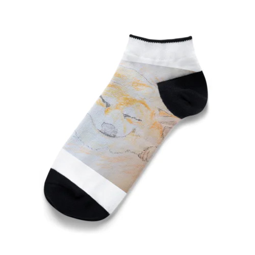 柴犬 Ankle Socks