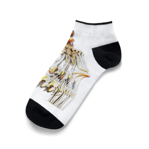 Skeleton  Ankle Socks