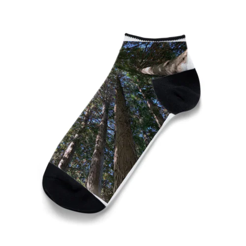 お山の木々 Ankle Socks