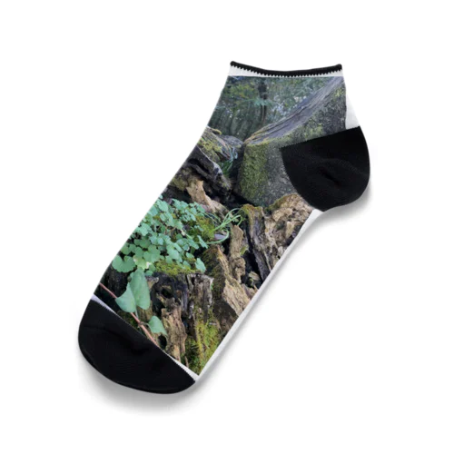 多様性の森 Ankle Socks