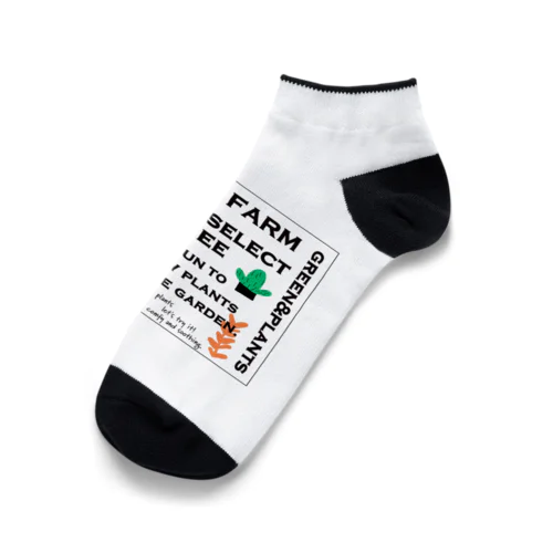 KIMIDORI FARM kewl green Ankle Socks