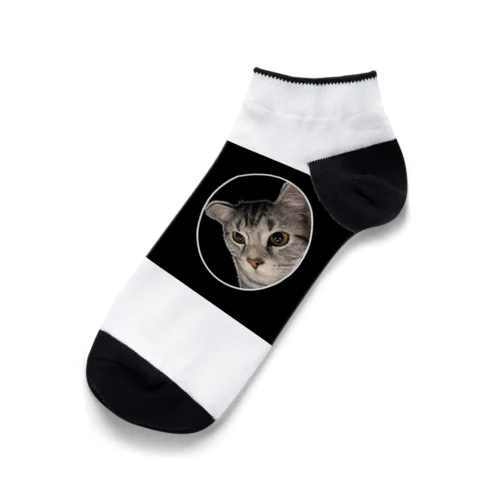 愛猫との絆、特別な愛猫グッズ Ankle Socks