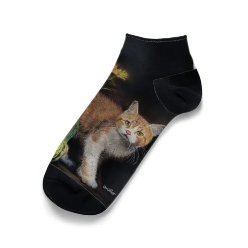 パステル画の猫 Ankle Socks