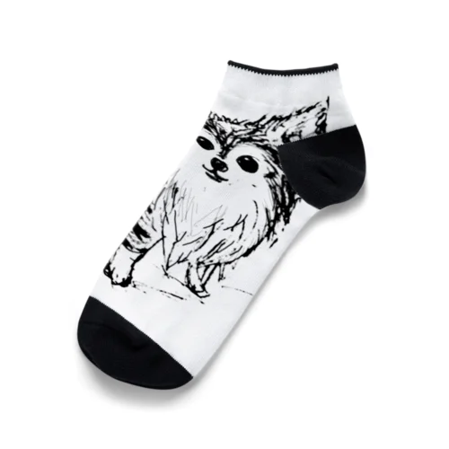 チワワのマメ2 Ankle Socks