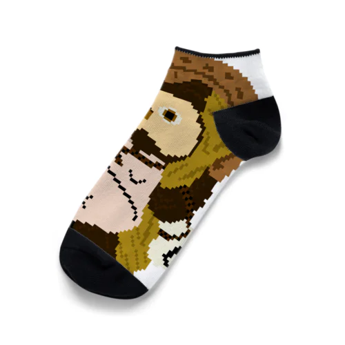 信楽たぬきくん Ankle Socks