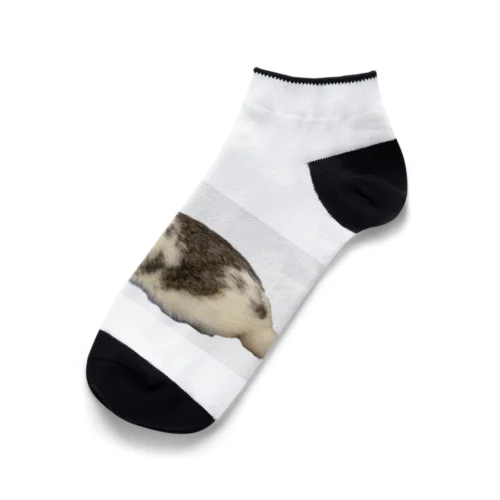 はっくんソックス Ankle Socks