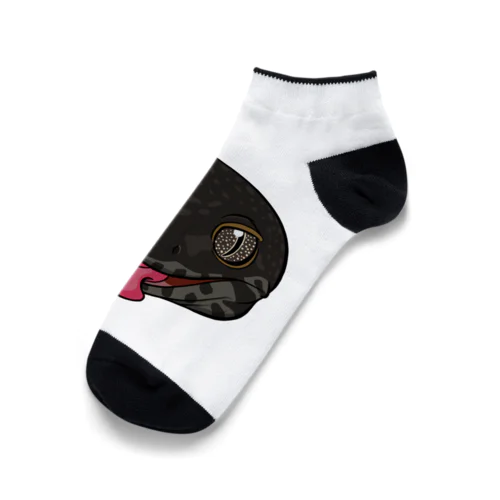 レオパ･ブラックナイト Ankle Socks