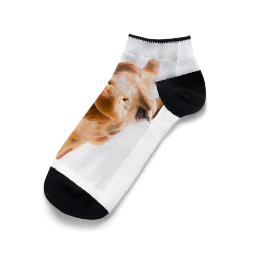 Giraffe Ankle Socks