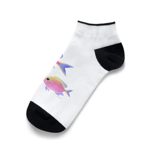 ハナゴンベ Ankle Socks