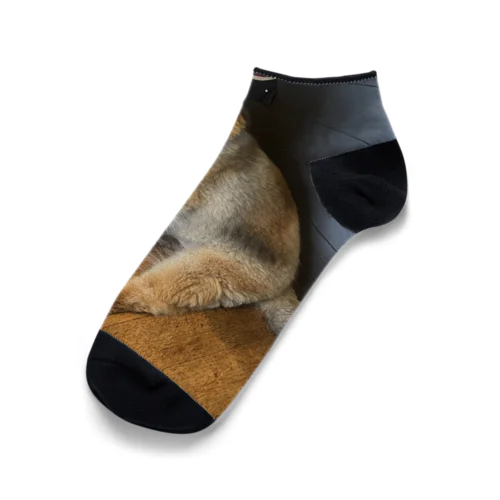 愛らしいモフモフ犬グッズ Ankle Socks