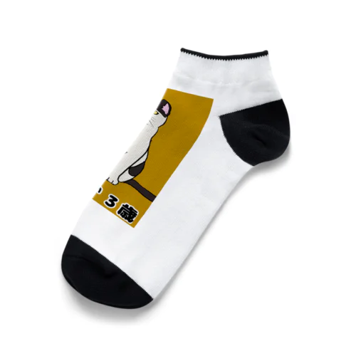 猫のテンくん Ankle Socks