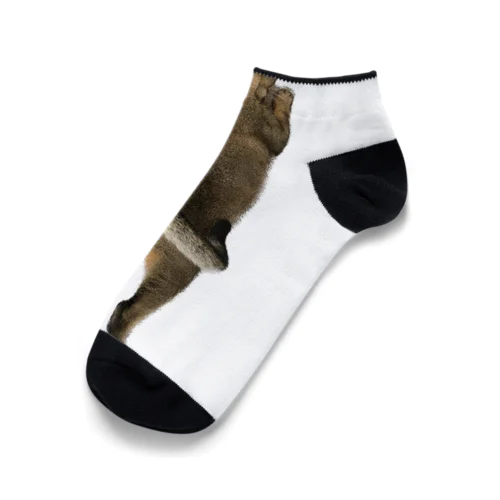 QAMALくん Ankle Socks