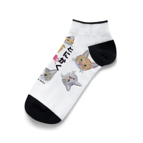 チョークアートのとにかく猫推し😺 Ankle Socks