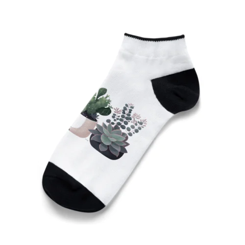 多肉植物 Ankle Socks
