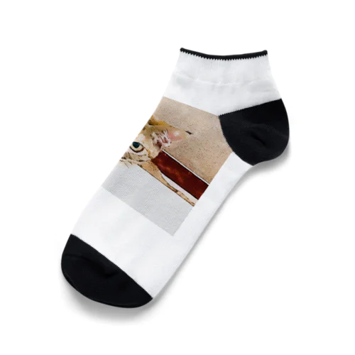 下僕を見下ろすコハク Ankle Socks