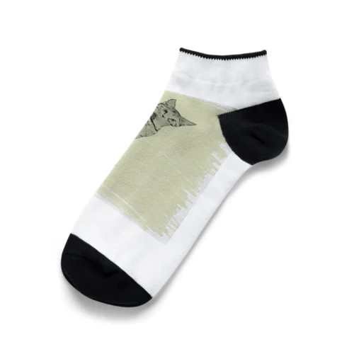 カーテンレールから見下ろすコハク Ankle Socks