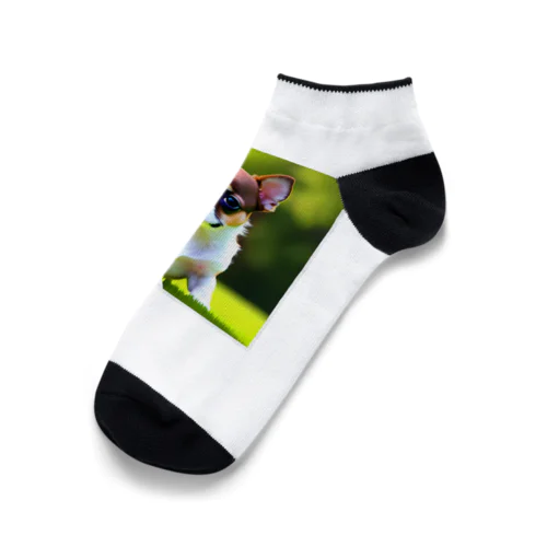 チワワ子犬　可愛いアニメーション Ankle Socks