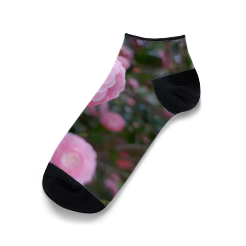 ピンク椿 Ankle Socks