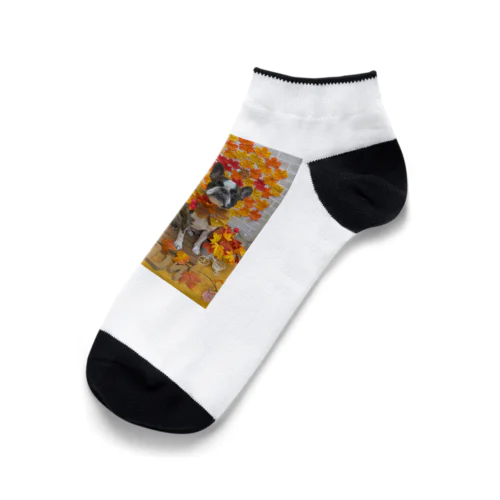 秋　ボストンテリアジョー君　ウィンク Ankle Socks