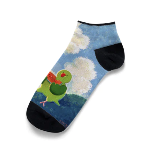 スイカを食べるぽんちゃん🍉🦜 Ankle Socks