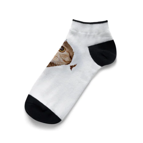 White Free Cute Funny Cat T-shirt Ankle Socks