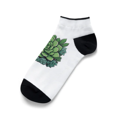 プランツパラダイス多肉 Ankle Socks