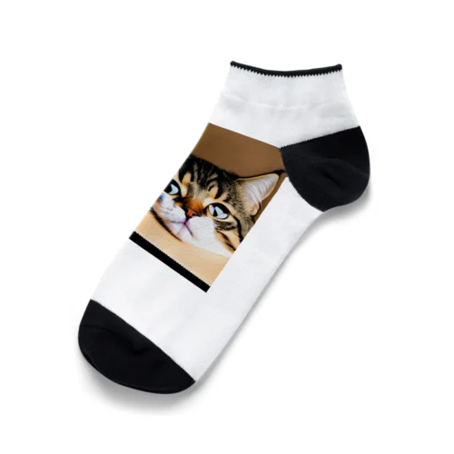 箱に入った可愛い猫 Ankle Socks