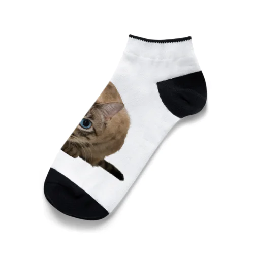 ねこちゃん Ankle Socks