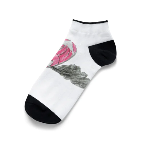 すみはきダイオウイカ Ankle Socks