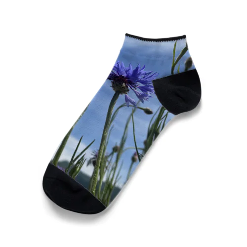 矢車草　青紫 Ankle Socks