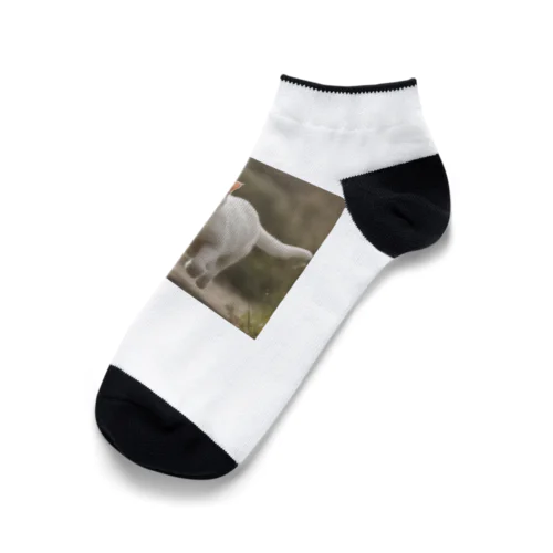 フォトプリント美形白猫 Ankle Socks