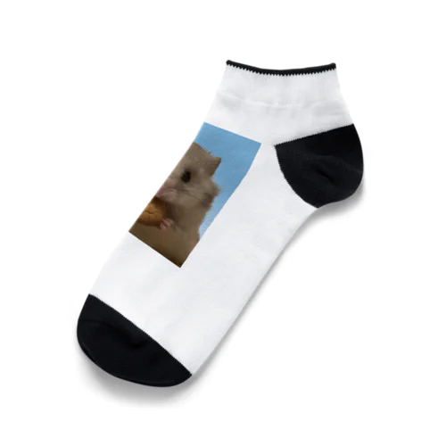 ハムのたけし Ankle Socks