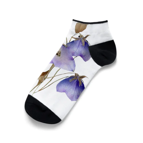 キキョウ Chinese bellflower Ankle Socks