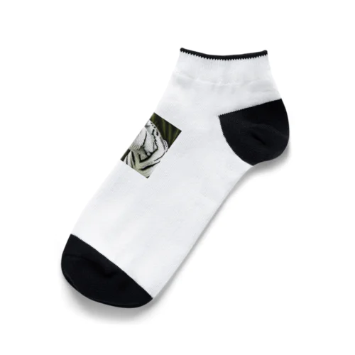 白いトラ Ankle Socks
