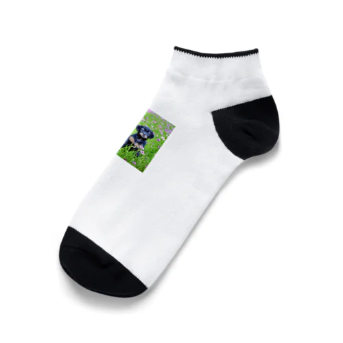 コスモス畑の癒し Ankle Socks